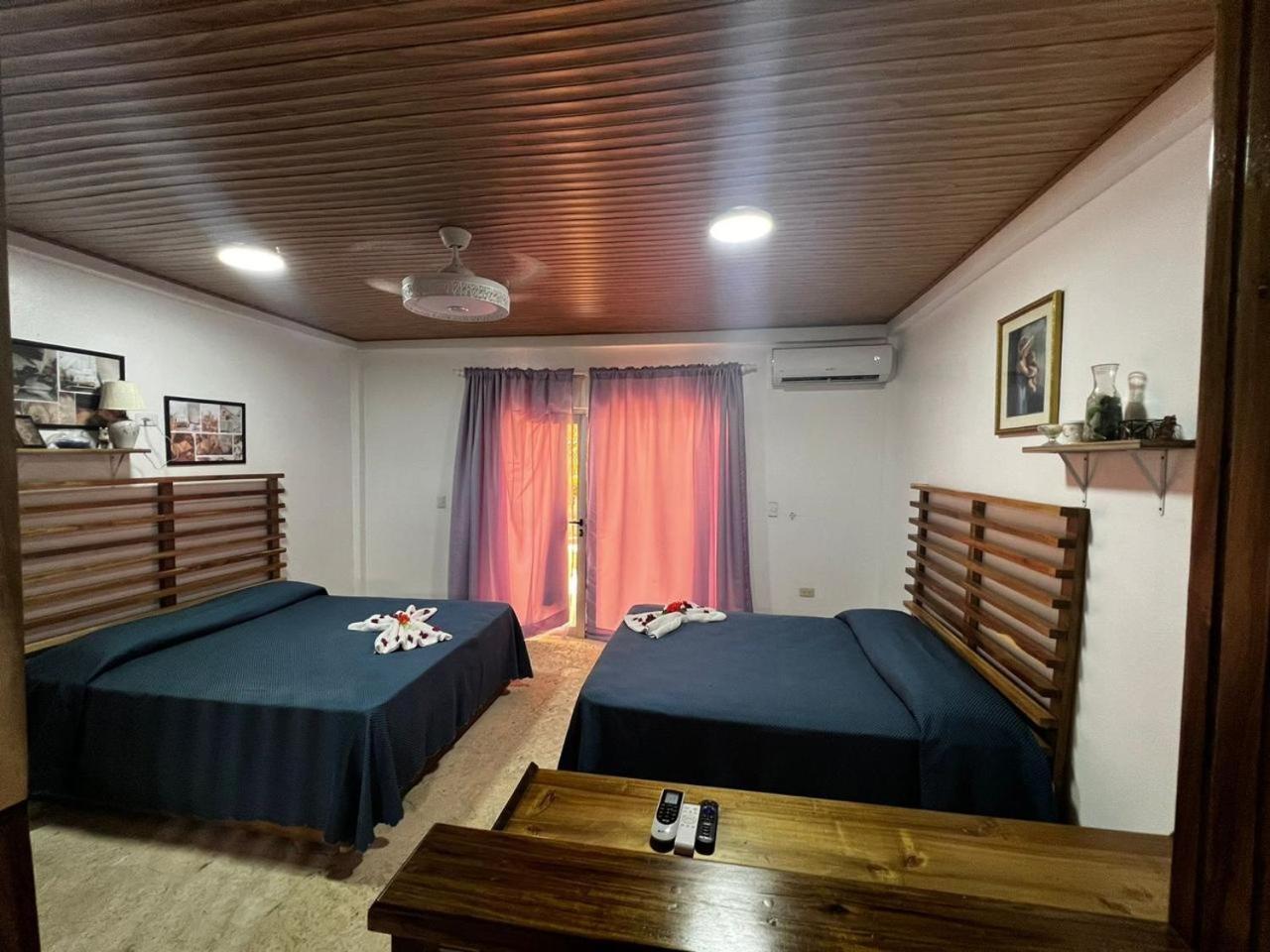 Piergiorgio Palace Hotel Puerto Plata Værelse billede